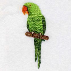 Asian Parakeet 08 machine embroidery designs