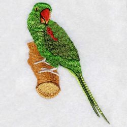 Asian Parakeet 09 machine embroidery designs