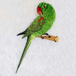 Asian Parakeet 10 machine embroidery designs