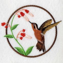 Hummingbirds & Flowers 2 01(Lg) machine embroidery designs