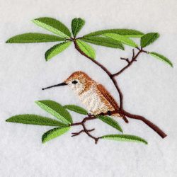 Hummingbirds & Flowers 2 03(Lg)