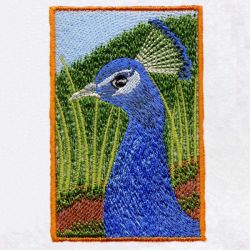 Peacock Portrait machine embroidery designs
