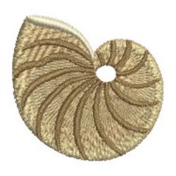 Seashells 10 machine embroidery designs