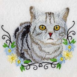 American Shorthair 01(Lg) machine embroidery designs