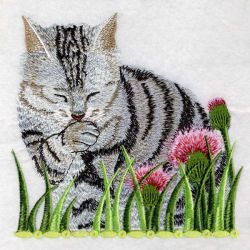 American Shorthair 04(Lg) machine embroidery designs