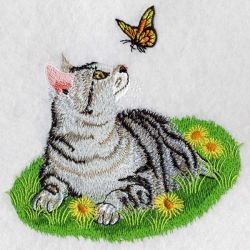 American Shorthair 05(Lg) machine embroidery designs