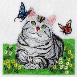 American Shorthair 08(Lg) machine embroidery designs