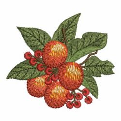 Mixed Fruits 02 machine embroidery designs