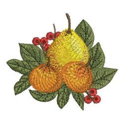 Mixed Fruits 04 machine embroidery designs
