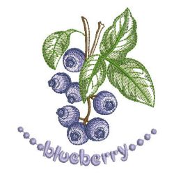 Fresh Fruits 2 08 machine embroidery designs