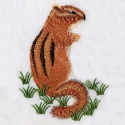 Chipmunks 06(Lg) machine embroidery designs