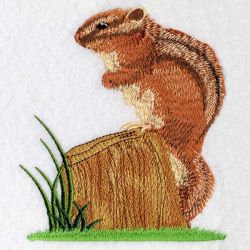 Chipmunks 07(Lg) machine embroidery designs