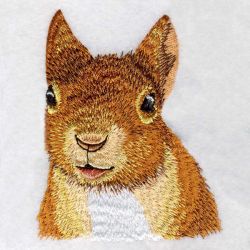 Chipmunks 08(Sm) machine embroidery designs