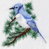 Blue Jays