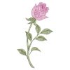 Vintage Rose Blossom 02(Sm)