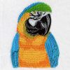 Cute Parrots 4 07