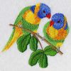 Cute Parrots 4 08