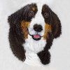 Bernese Mountain Dog(Lg)