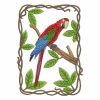 Parrot Collection 10