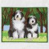 Bearded Collie 03(Sm)