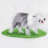 Bearded Collie 05(Sm)