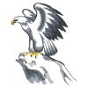 Brush Painting Eagles(Sm)