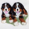 Bernese Mountain Dog 2 04(Sm)