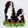 Bernese Mountain Dog 2 05(Lg)