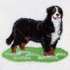 Bernese Mountain Dog 2 06(Sm)