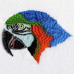 Cute Parrots 4 machine embroidery designs