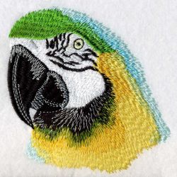 Cute Parrots 4 02 machine embroidery designs