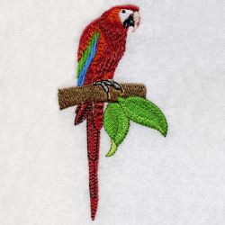 Cute Parrots 4 03 machine embroidery designs