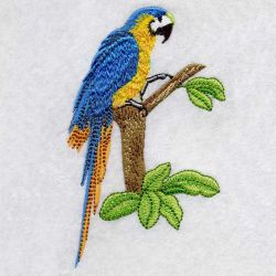 Cute Parrots 4 04 machine embroidery designs