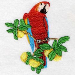 Cute Parrots 4 06 machine embroidery designs