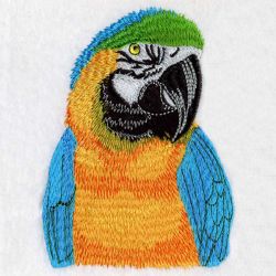 Cute Parrots 4 07 machine embroidery designs