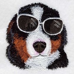 Bernese Mountain Dog 02(Lg)