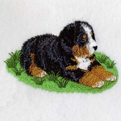 Bernese Mountain Dog 03(Sm) machine embroidery designs