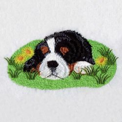 Bernese Mountain Dog 04(Sm) machine embroidery designs
