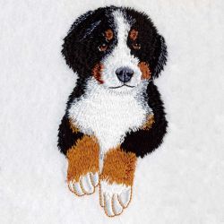 Bernese Mountain Dog 05(Sm) machine embroidery designs
