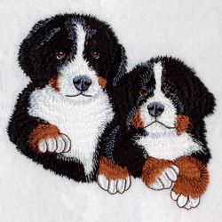 Bernese Mountain Dog 06(Lg) machine embroidery designs
