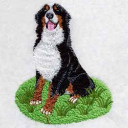 Bernese Mountain Dog 07(Sm) machine embroidery designs