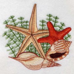 Seashells 3 05(Lg) machine embroidery designs