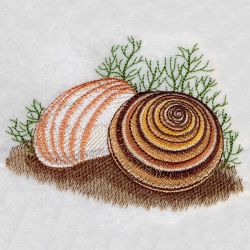 Seashells 3 06(Sm) machine embroidery designs