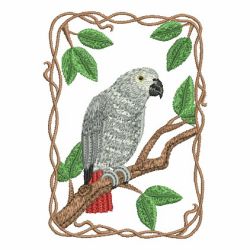 Parrot Collection 01 machine embroidery designs