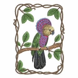 Parrot Collection 02 machine embroidery designs