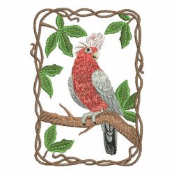 Parrot Collection 03 machine embroidery designs