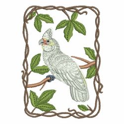 Parrot Collection 04 machine embroidery designs