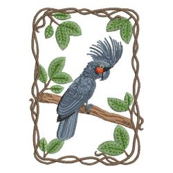 Parrot Collection 05 machine embroidery designs