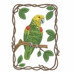 Parrot Collection 08 machine embroidery designs