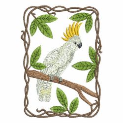 Parrot Collection 09 machine embroidery designs